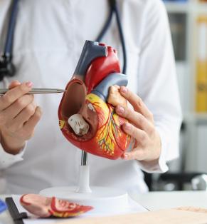 Precision Heart Diagnostics